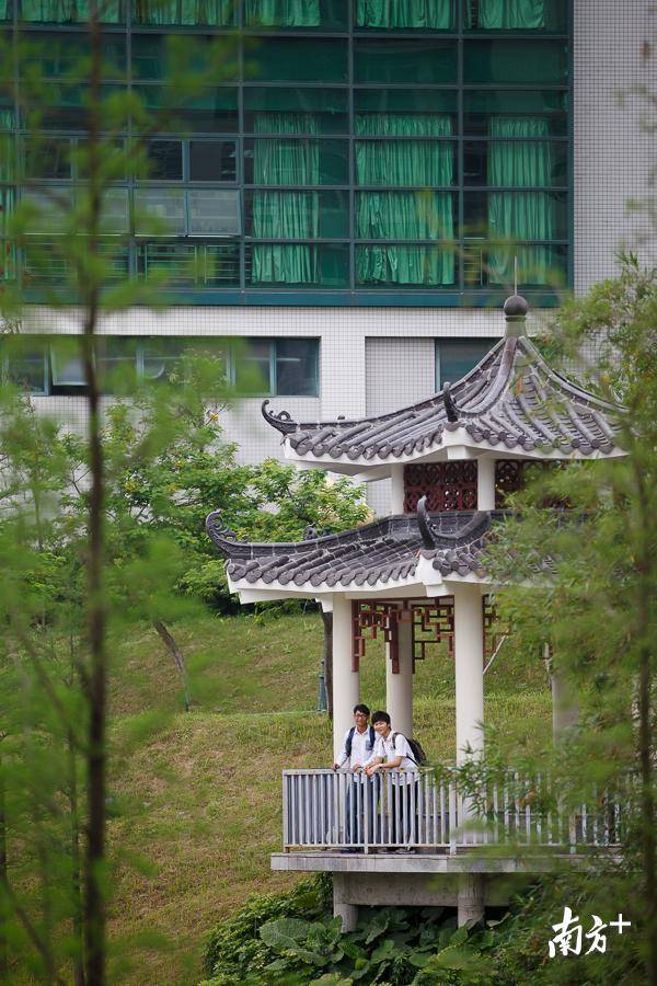 校园一角。 校园一角。